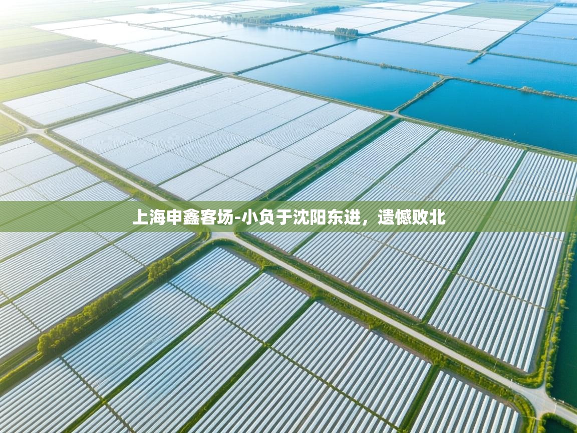 上海申鑫客场-小负于沈阳东进,遗憾败北 第1张