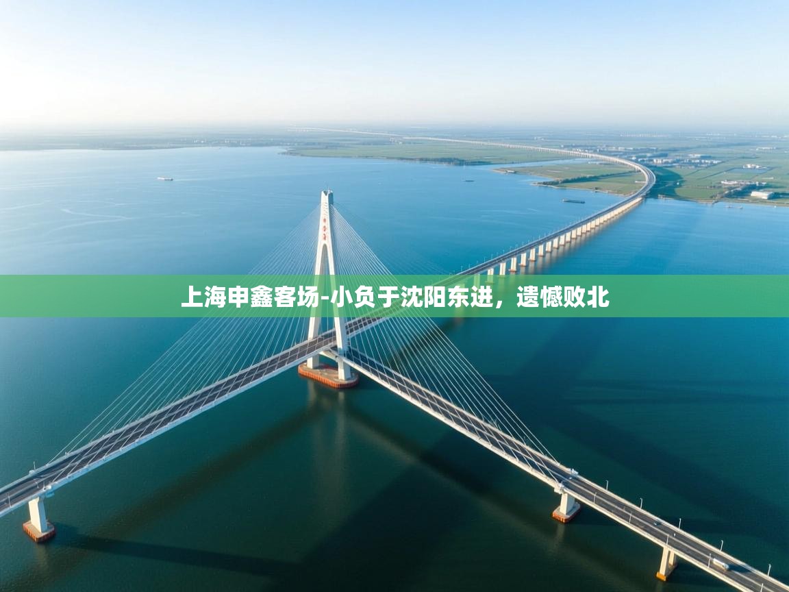 上海申鑫客场-小负于沈阳东进,遗憾败北 第2张